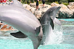 Extended Bahamas Cruises