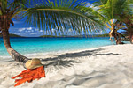 Caribbean and Bermuda Holland America Cruises